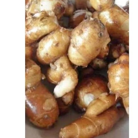 

Kencur (Cikur) pilihan Bandung