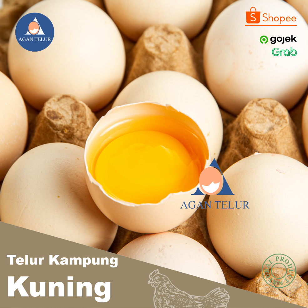 

Telur Ayam Kampung Kuning Butiran