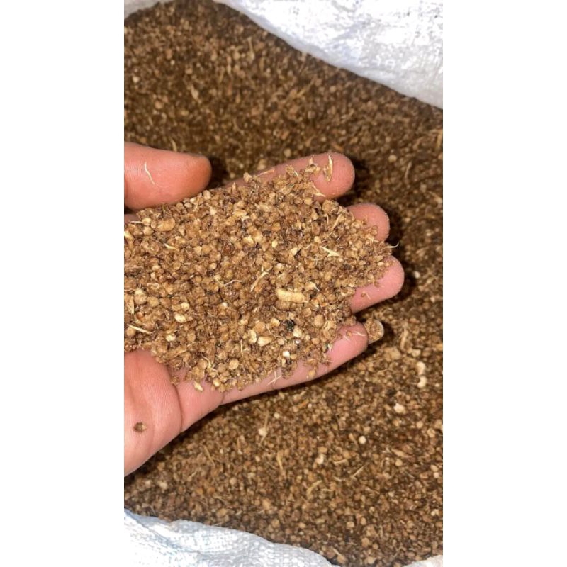 

Nasi Tiwul Homemade Premium | Tiwul Singkong 1kg Oyek Singkong