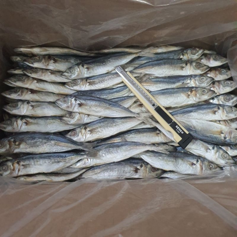 

IKAN ASIN LAYANG/IKAN ASIN /IKAN ASIN BERAT 500GRAM, PREMIUM