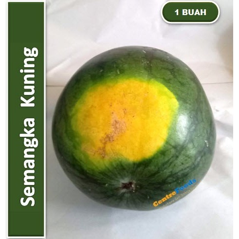 

Buah Semangka - Kuning Ada Biji | Size 3-3.9 kg [ Harga Per PCS ]