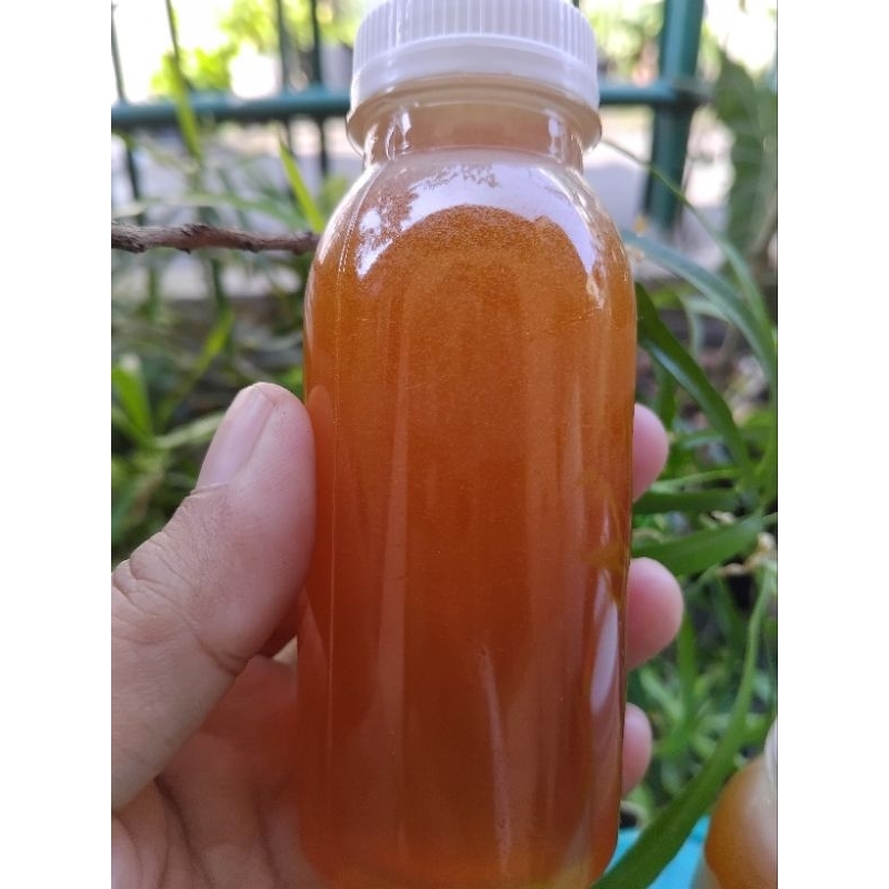 

Madu hutan asli bukan ternakan dan tanpa campuran 100ml