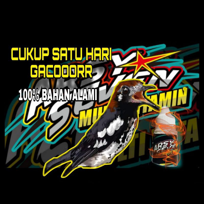 VITAMIN BURUNG ANIS KEMBANG CUKUP SATU HARI GACOR
