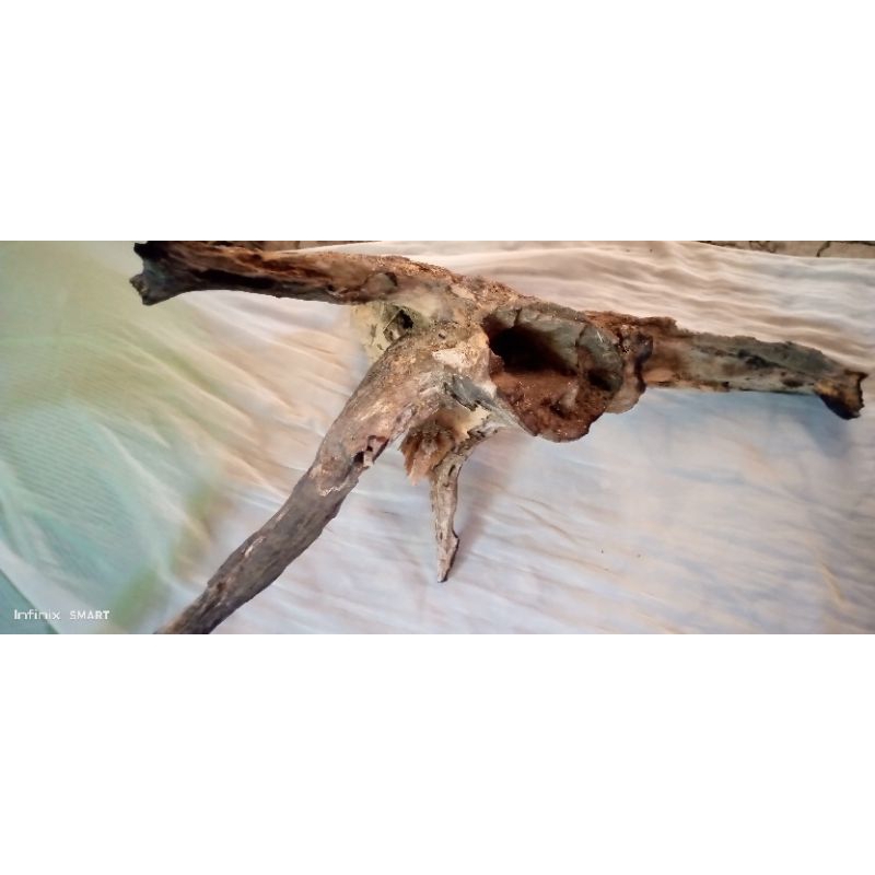 kayu rentek aquascape