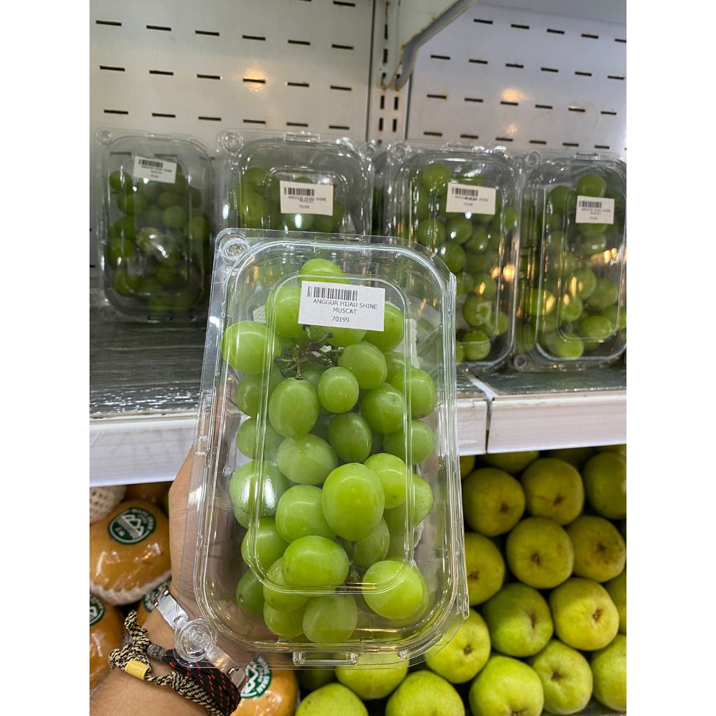 

ANGGUR SHINE MUSCAT 1 PACK