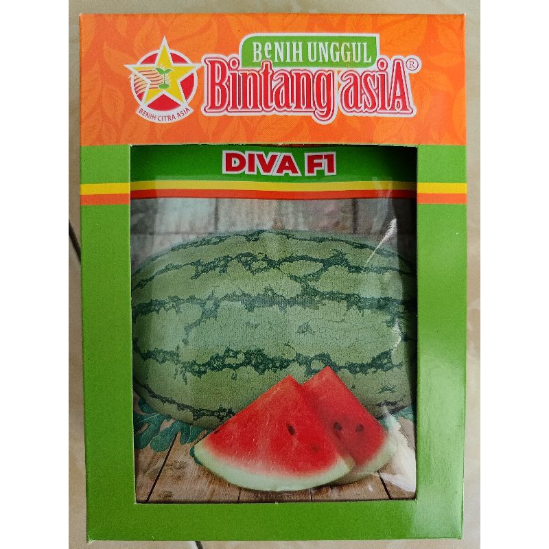 Diva f1, Benih Semangka Berbiji Bintang asiA