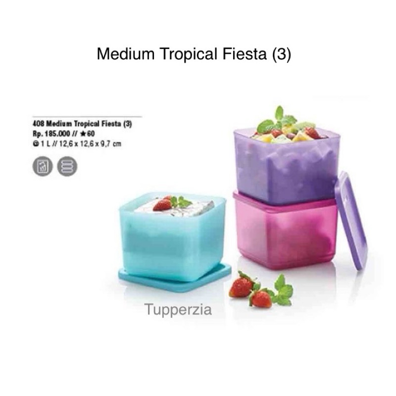 Medium Tropical Feista (3)Tupperware