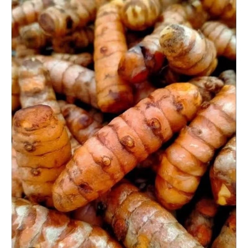 

Kunyit fresh 250 gr - 1000 gr