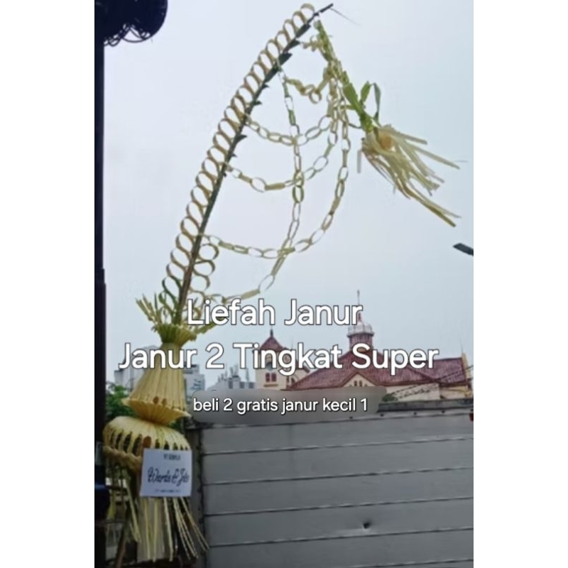 Janur Pernikahan/ Janur Kuning/ Janur Besar Premium