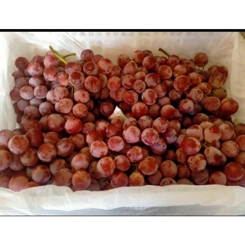 

Anggur 1kg