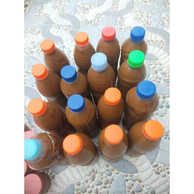 

PETIS CAIR (ASIN) JAWA TIMUR