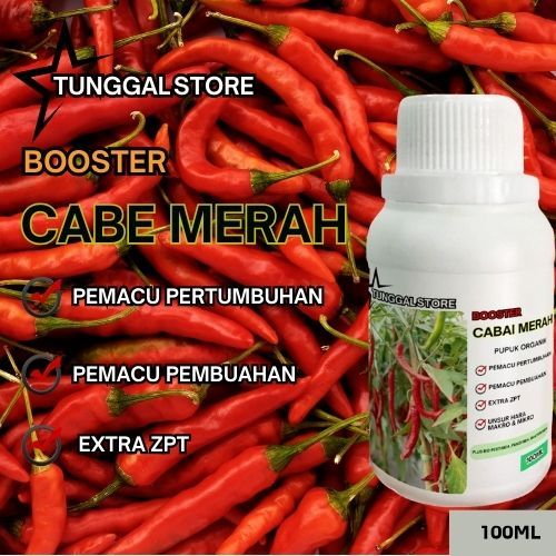 Pupuk organik cair Berbuah Lebat,Pupuk Pelebat Buah Cabai Anti Bulai. Cabe Organik mengatasi Kuning 