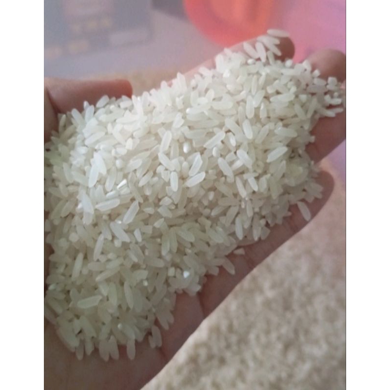 

Beras Premium Murah 1 kg