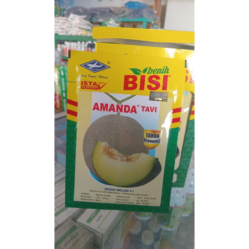 Benih Melon AMANDA TAVI