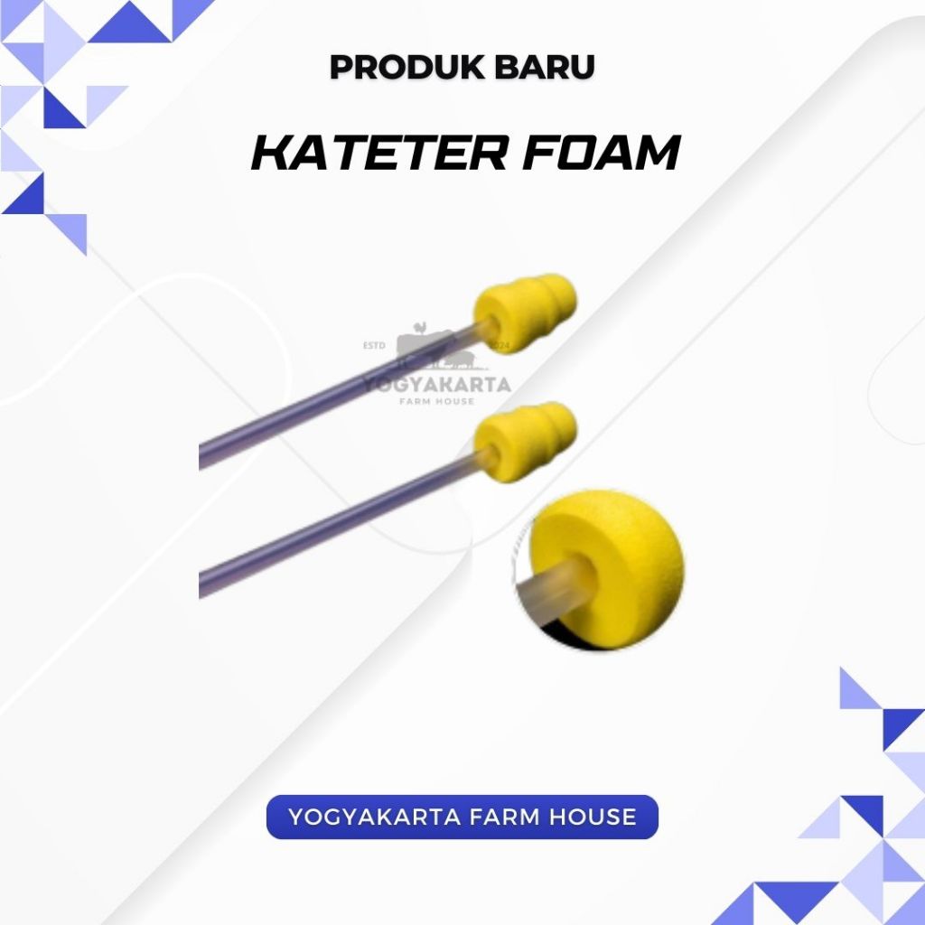 Kateter FOAM/Inseminasi Buatan Babi Catheter Pig