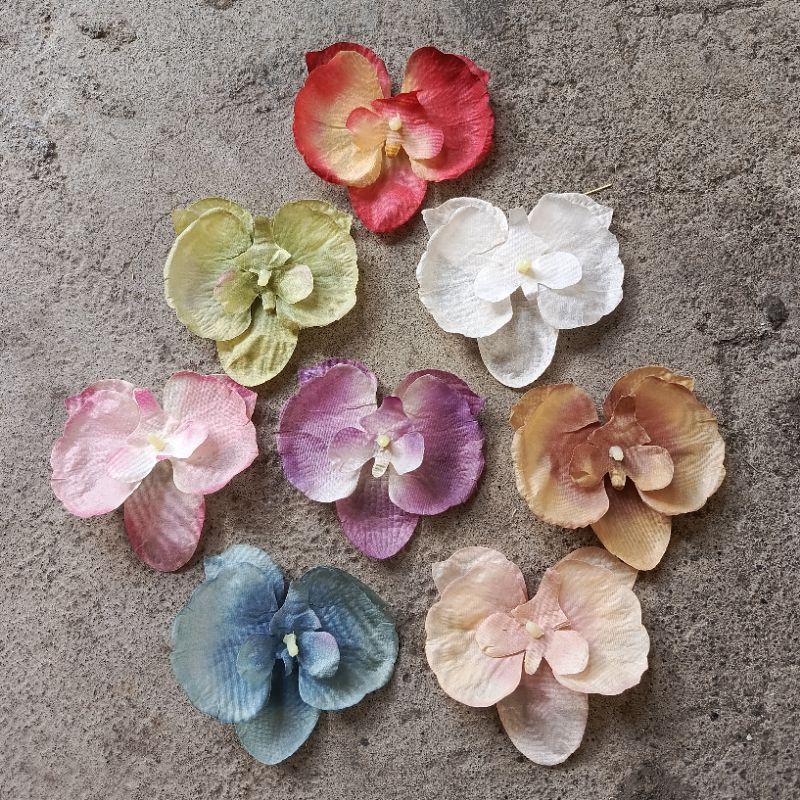 angrek seri B angrek bulan bunga mahar angrek sutra