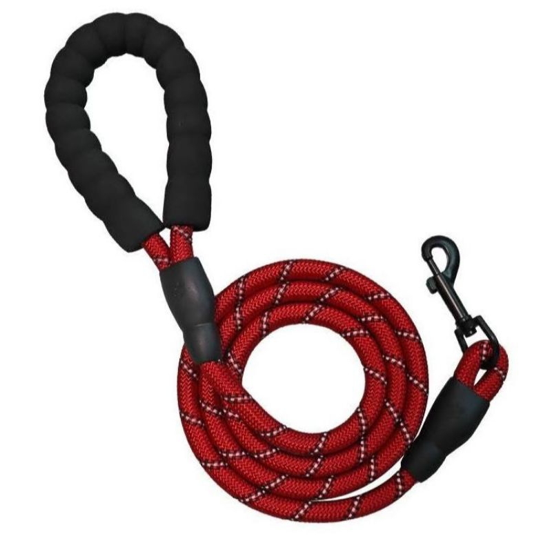 tali tuntun anjing besar