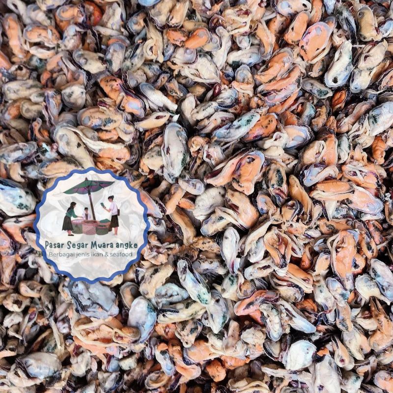 

Daging Kerang Hijau Segar Seafood hasil laut segar 1 kg