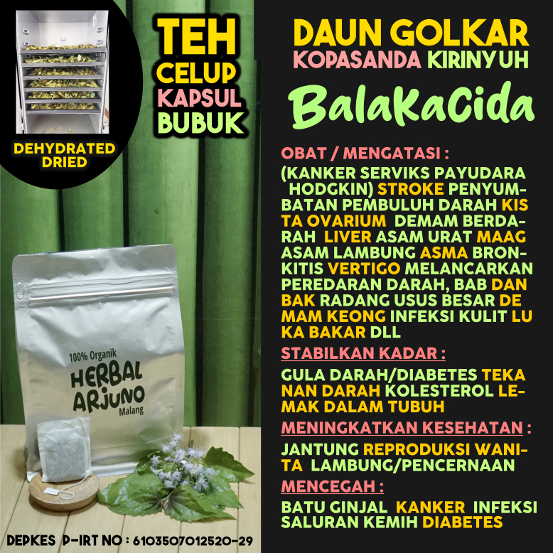 

Dehydrated Dried Teh Celup Kapsul Bubuk Daun Balakacida Kirinyuh Kopasanda Golkar Obat Kista (Kanker Payudara Serviks Hodgkin) Liver Asma Maag Asam Lambung Diabetes Hipertensi Kolesterol Asam Urat Stroke Vertigo Demam Berdarah Keong DLL Herbal Alami