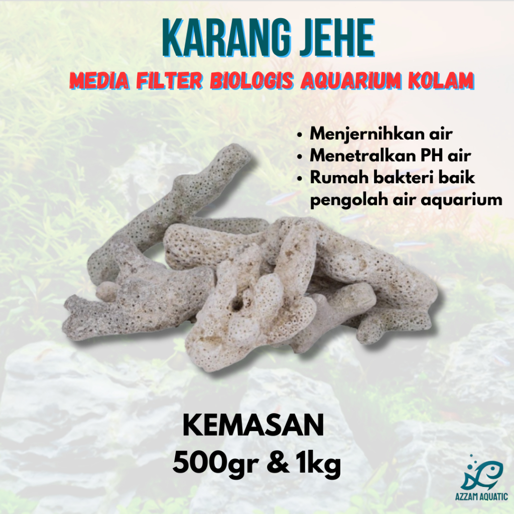KARANG JAHE 1KG / KARANG JAHE / BATU KARANG JAHE 1KG / BATU KARANG JAHE KUALITAS SUPER