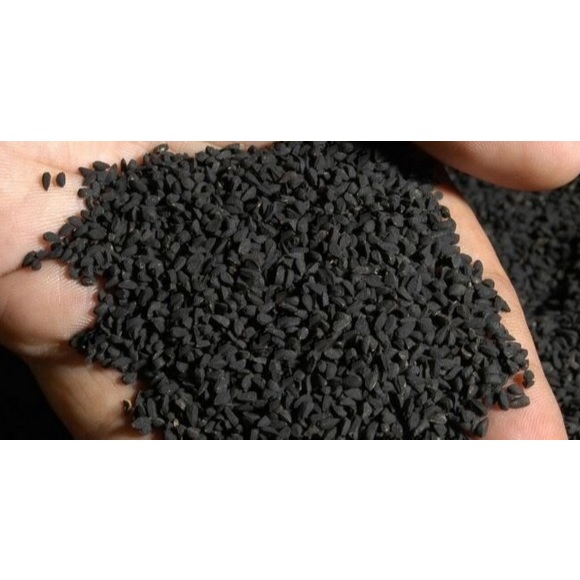 

Biji Jintan Hitam Arab Asli Kwalitas No. 1 Super 250gr