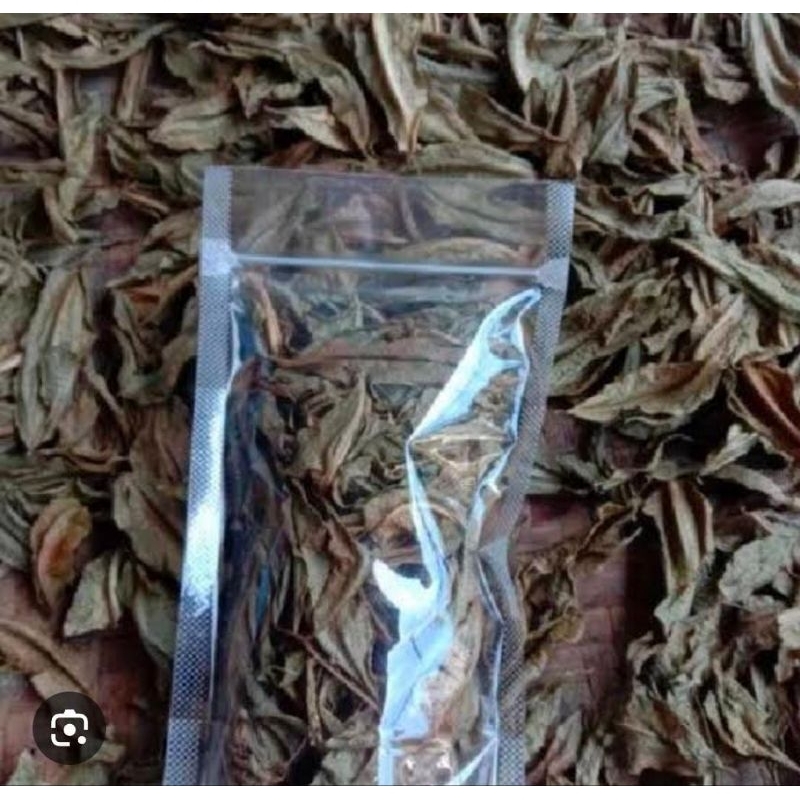 

Daun Kedondong Kering Premium 250 Gram Obat Herbal Tradisional Murah