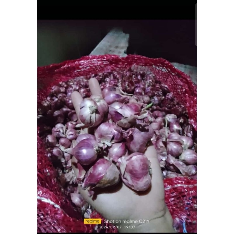 

bawang merah
