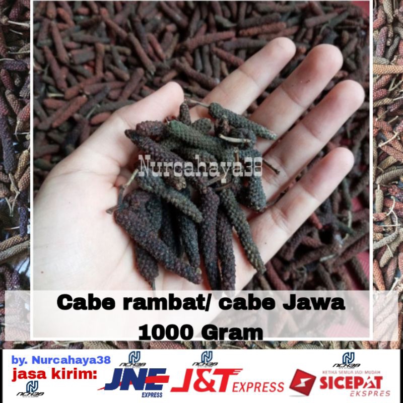 

Cabe Jawa | Cabe rambat | Cabe Berkualitas | 1 Kg