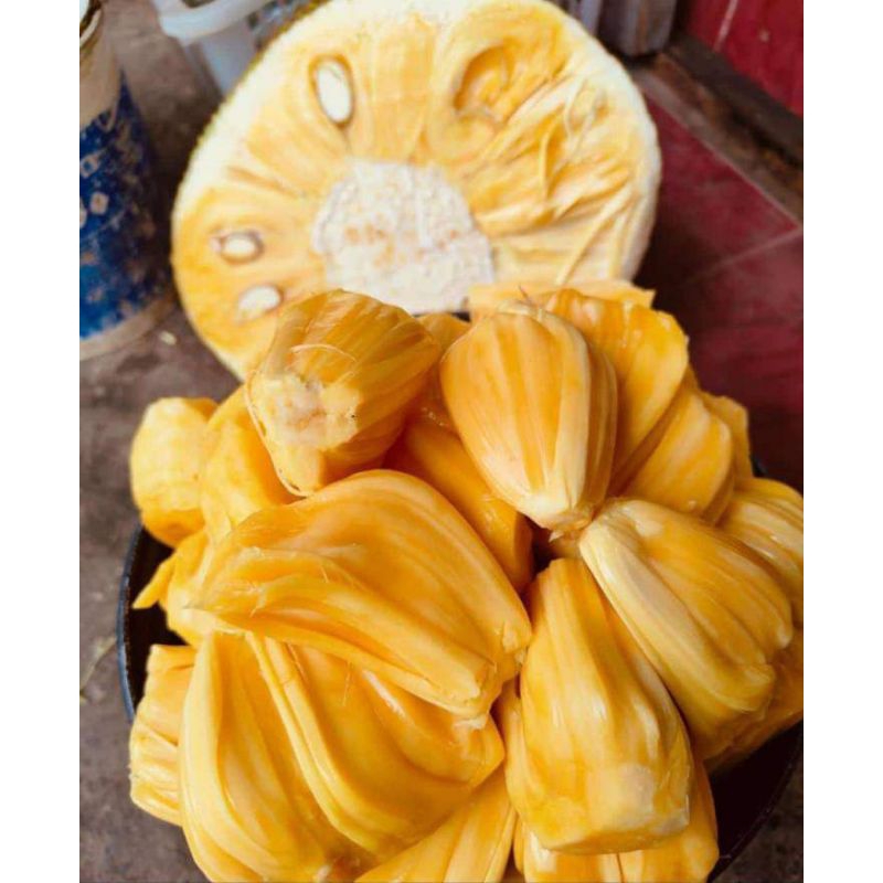 

Nangka Kupas Sudah di Packing