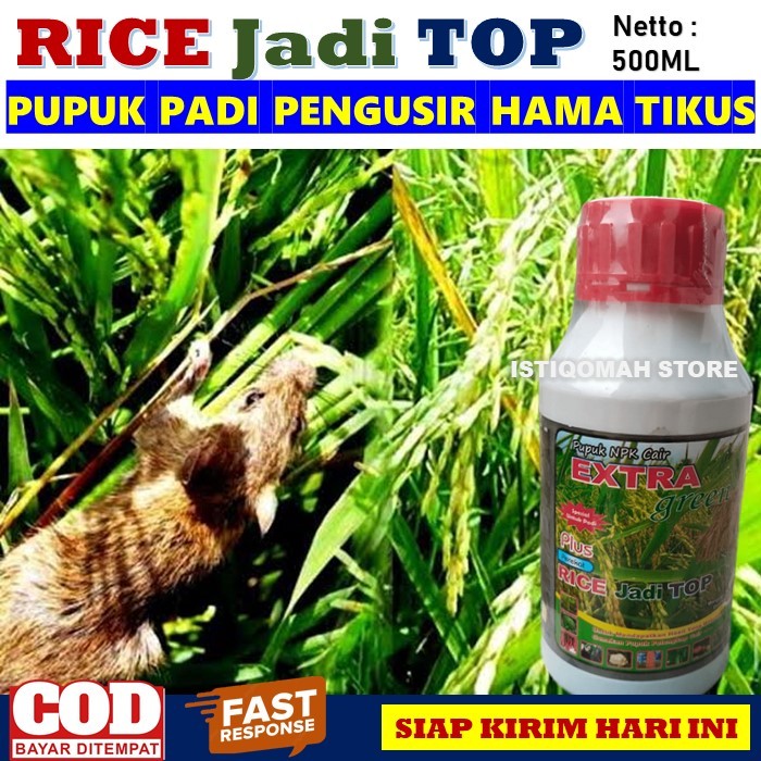 RICE JADI TOP 500ml - Obat Semprot Hama Tikus & Hama Lainnya Menambah Bobot Gabah Padi - Pupuk NPK C