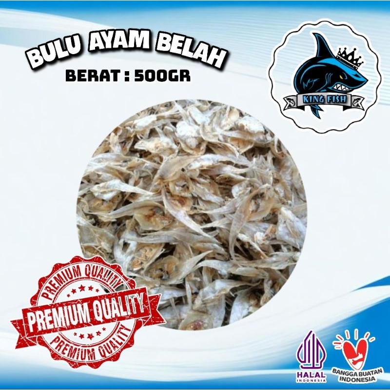 

500GR IKAN ASIN BULU AYAM BELAH SUPER MURAH BERKUALITAS