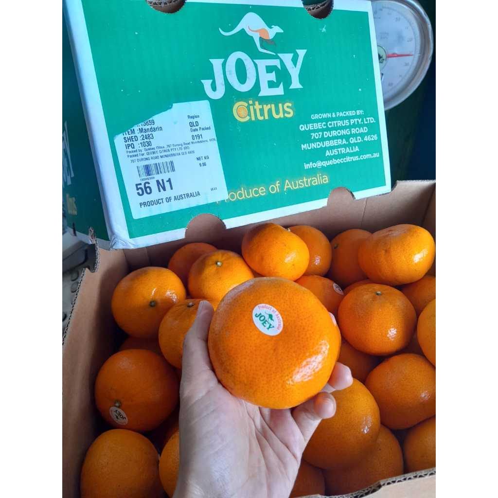 

Jeruk Murcot Australia (KG)