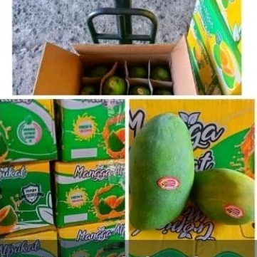 

Mangga Alpukat 5kg