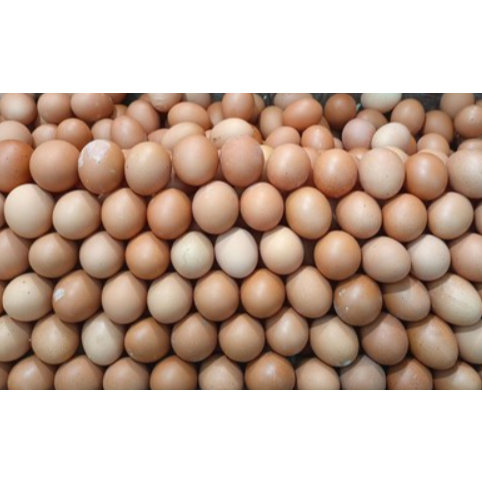 

RB SayurHD Telur Ayam Negeri 10 Butir Telur Telor Segar (Packing Dijamin Aman)