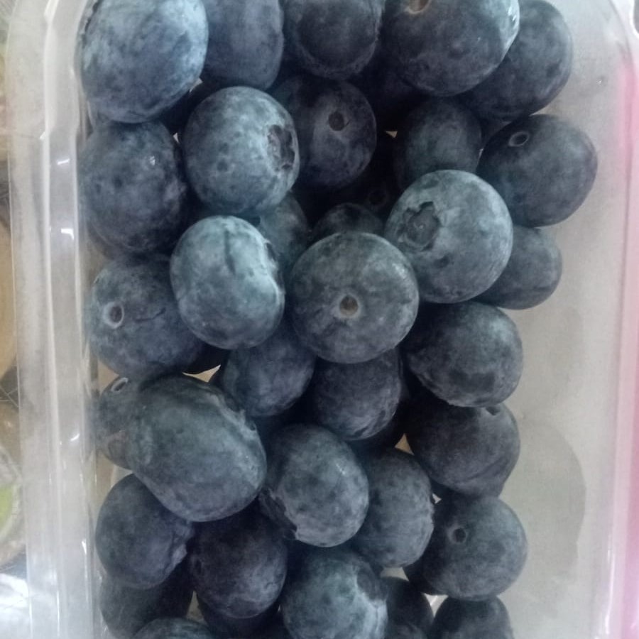 

Buah Blueberry Betty Best Australia 175 Grm