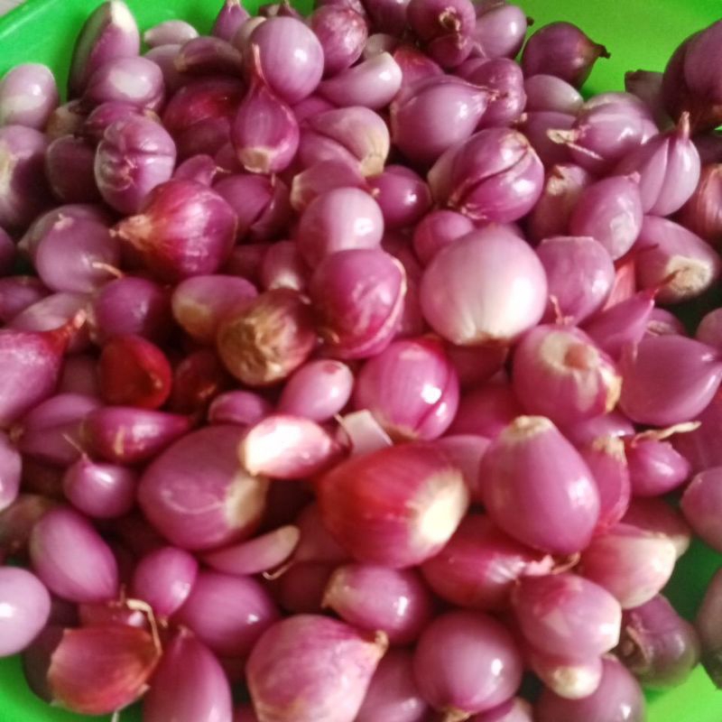 

bawang merah Probolinggo kupas /1kg
