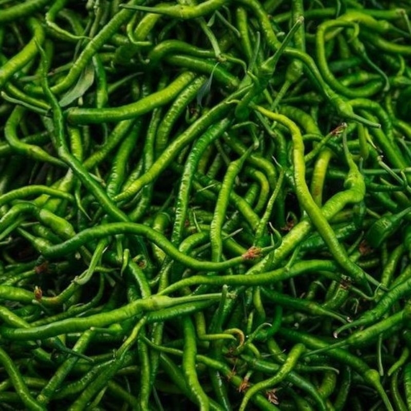 

Cabe Keriting Hijau 100 GR| 200 GR