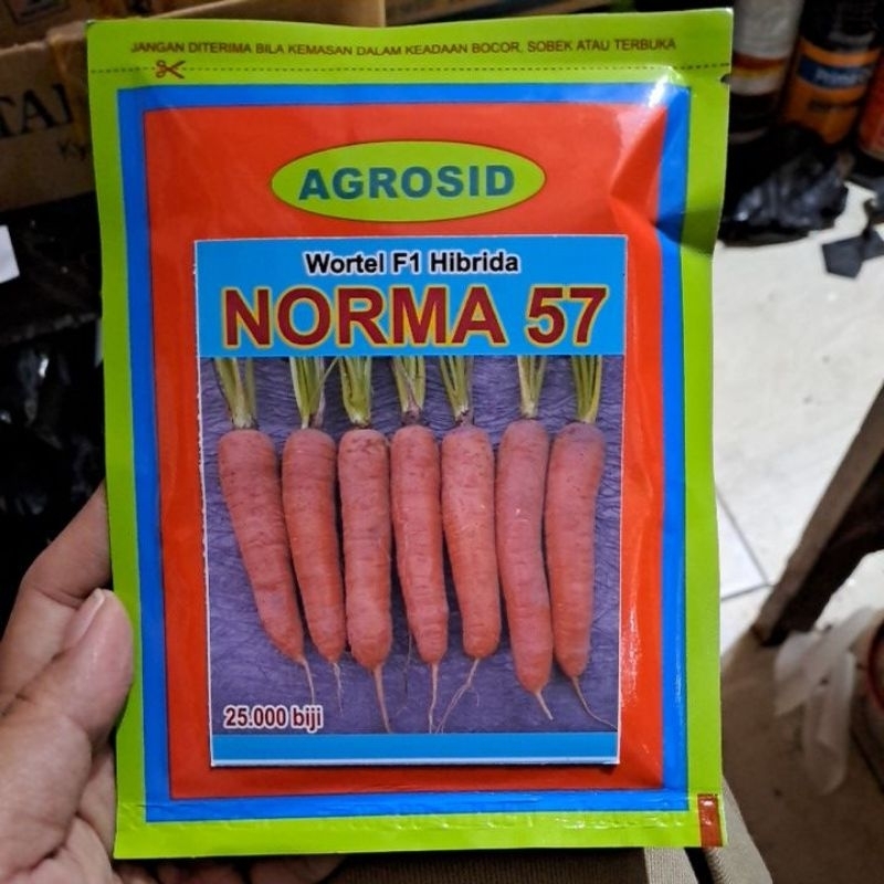 benih wortel NORMA BEJO 25.000 seeds AGROSID