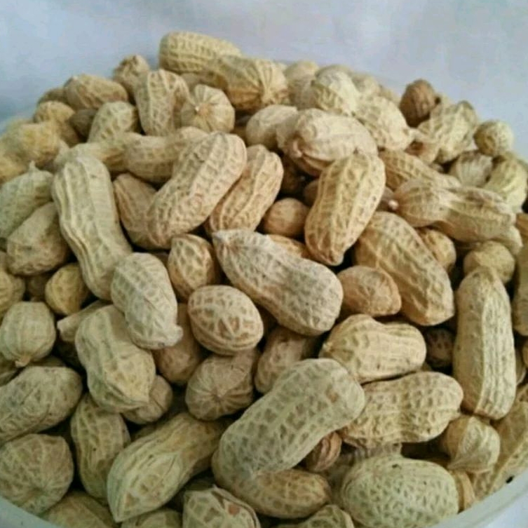 

Kacang Kulit/Kacang Oven 250 Gram