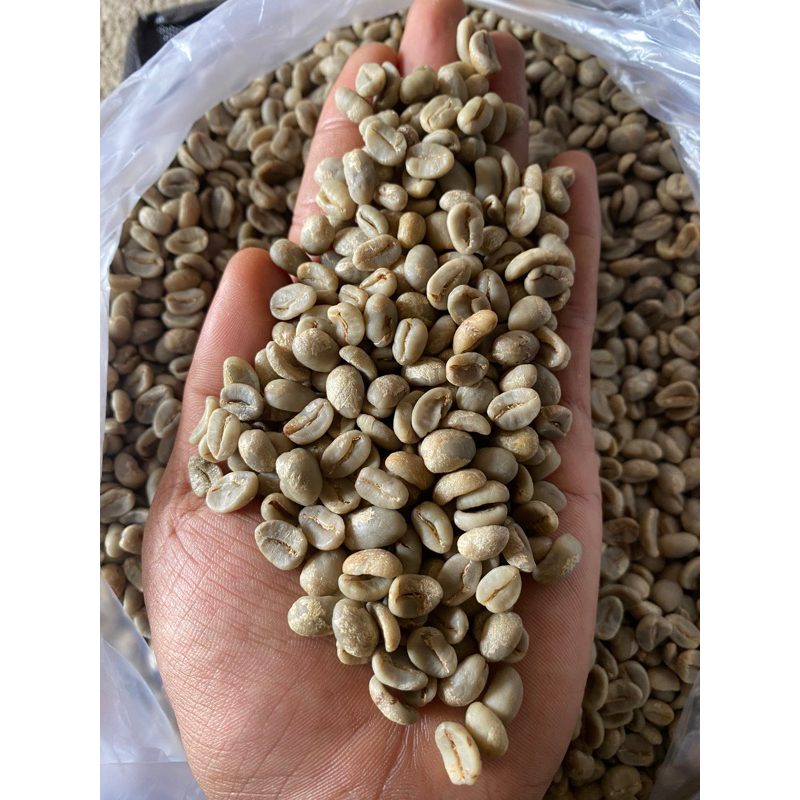 

arabica proses honey terbaik solok selatan