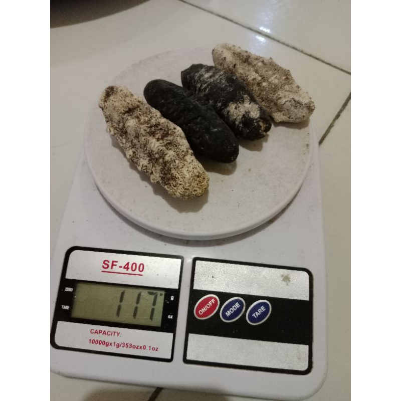 

hoisom campur 100 gr