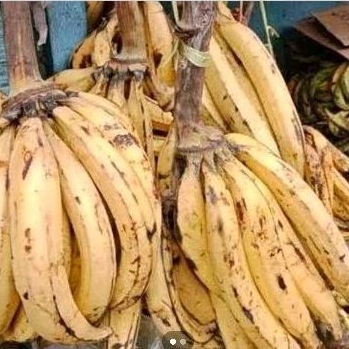 

pisang tanduk 1kg lebih