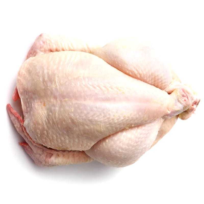 

Distributor Ayam Utuh 0.6-0.7 Per ekor / chicken whole - Supplier Ayam Pasar Buah Medan