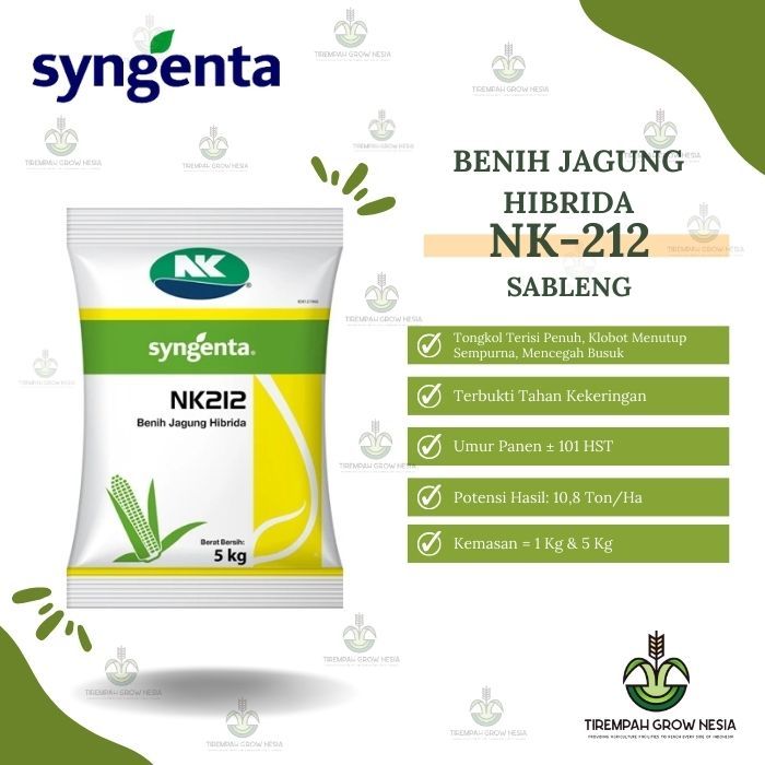 BENIH JAGUNG NK 212 SABLENG SYNGENTA NK SABLENG 212 BENIH JAGUNG HIBRIDA 212 BIBIT JAGUNG NK BENIH J