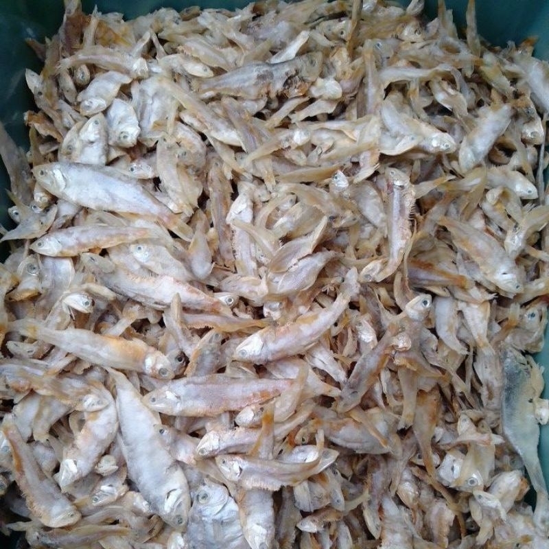 

Ikan lempuk kering