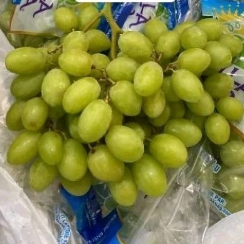 

Anggur Hijau Crispy Stella Bella
