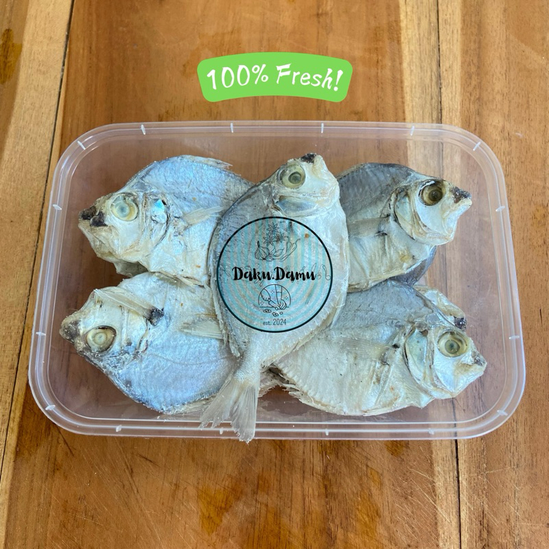 

Ikan Asin Pepetek Fresh 250gr