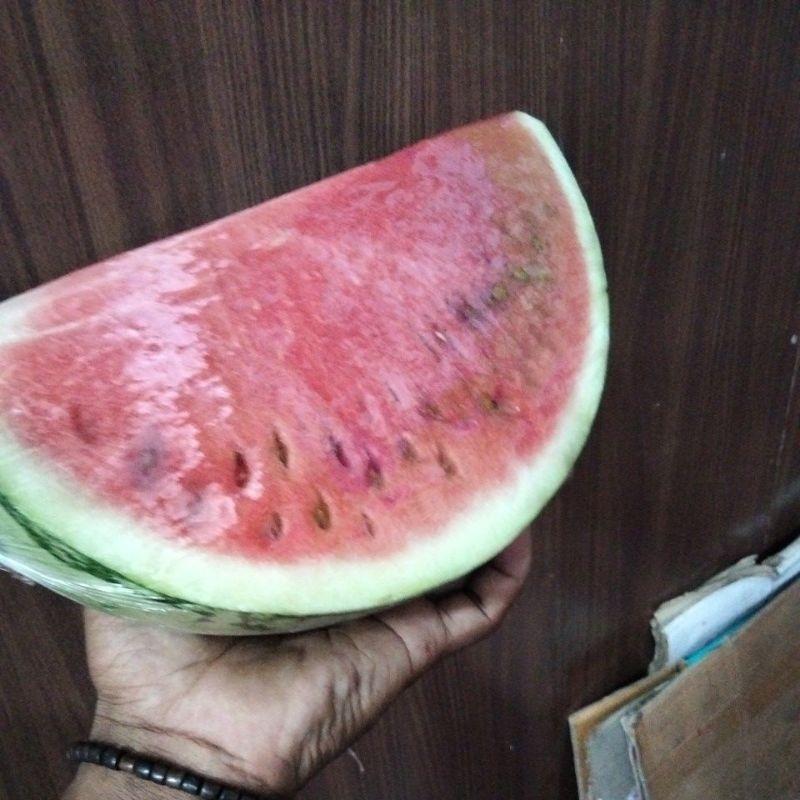 

semangka belahan 1,5 - 2kg