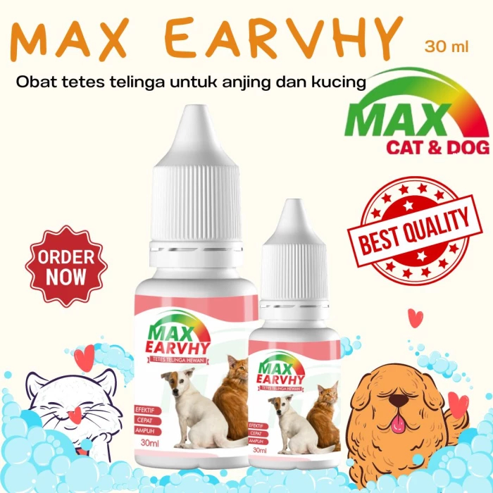 Max Earvhy | Obat Infeksi Telinga Kucing Anjing