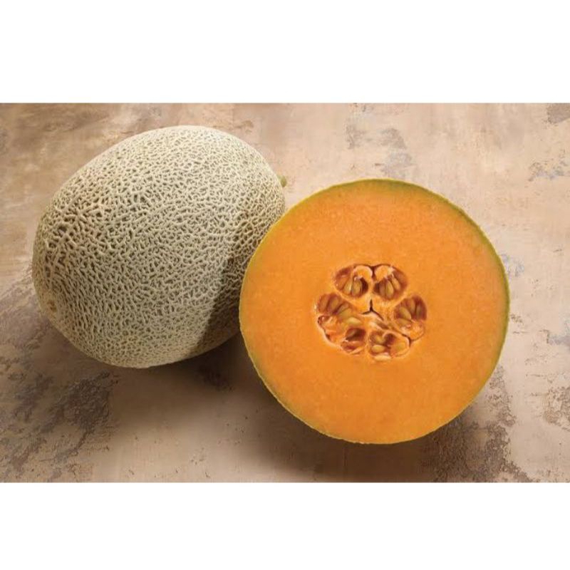 

5 biji benih melon sakata glamore import F1